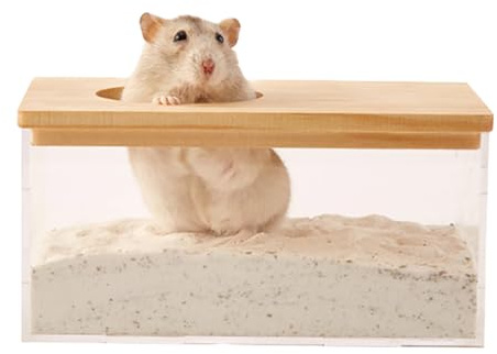 Contenitore Per Sabbia Per Gabbia Per Criceti – Piccola Scatola Per Sabbia Trasparente | Accessorio Per Toilette Per Animali Domestici | Bagno Con Gabbia Per Gerbilli E Roditori, Strumento Per Criceti