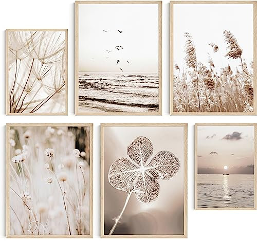 Hambient Poster Set, Wohnzimmer Deko Schlafzimmer, Zimmer - Wanddeko, Wandbilder - Bilder OHNE Bilderrahmen (Pampasgras Beige Boho, 4 x 30x40 cm, 2 x 21x30 cm)