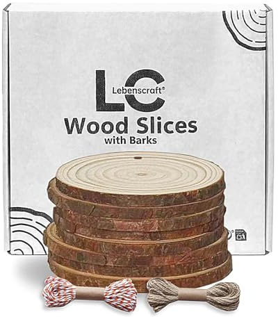 8 Pcs Wooden Discs Wood Slices 10cm pre-drilled, with 2 Ropes (9-10 cm)