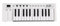 midiplus MIDI Keyboard Controller, (X2 mini),white