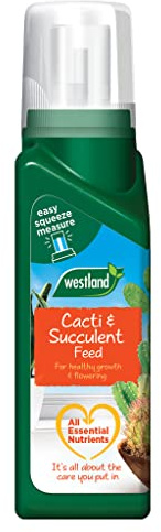Westland Cacti & Succulent Plant Feed Concentrate, 200 ml