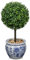 Hollyone Künstliche Buchsbaumkugeln 40CM, Künstliche Formschnittbäume Klein, Kunstbaum in Blau-weißem Keramiktopf, Kunstpflanze Topiary für Draußen und Drinnen Eingangsbereich Terrasse Veranda Deko
