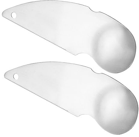 KICHOUSE 2 Pièces Cuillères à Kiwi Acier Inoxydable de Outils de Découpe Pelage pour Fruits Accessoire de Cuisine Ergonomique et Réutilisable