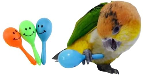 3PCS- Colourful Mini Ball Sand Hammer Parrot Rattle Shaker Musical Sound Toy Intelligent Sand Hammer Toys for Parakeets Canaries Cockatiels Conure Lovebirds(Random Color)