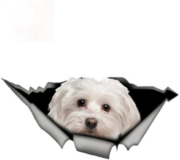 Autoaufkleber Lustig Hund 20Cm(7.87In) Personality Cute Maltese Autoaufkleber Haustier Hund Auto Dekoration Aufkleber Reflektierender Aufkleber Wasserdichtes Auto Styling Auf Autofenster Auftragen(Gl