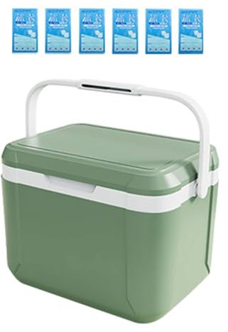 Isolierte Kühlbox, Autokühlschrank mit Griff, Lebensmittelträger, 5 l Kühlschrank, Kälte-/Wärmekonservierungskühler für Strandgrill, Grün