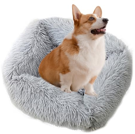 PETCUTE Letto per Cani di Piccola Taglia, Cuccia per Gatti e Cuccioli con Fondo Antiscivolo,Cuscino Peloso per Gatti,Letto Morbido e Antistress per Piccoli Animali Domestici,M