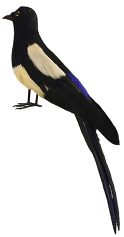 Ronyme Oiseau de Simulation de Pie, Oiseau Artificiel, Animal réaliste et réaliste, modèle d'oiseau à Plumes, Statue pour Maison, Jardin, 30CM