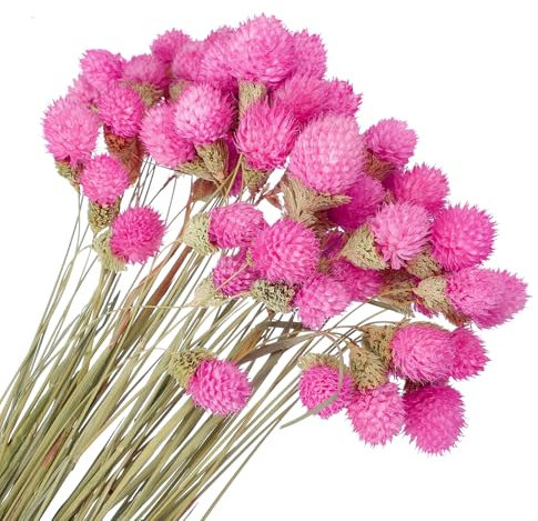 PATIKIL 16 Inch Dried Flowers for Vase, 60 Pcs Mini Pine Ball Flowers Natural Bouquet Bulk Fall Dried Pine Ball Naturally for Home Wedding Bridal Decor Party, Rose Red