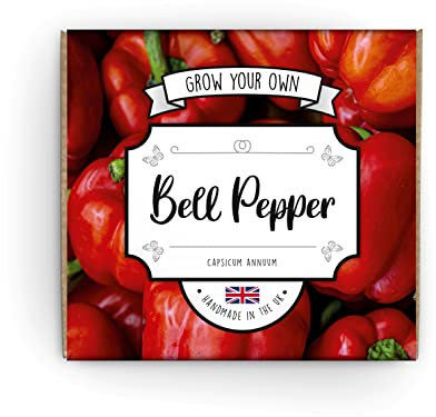 Grow Your Own Bell Pepper Complete Beginner Starter Kit | Easy to Use Instructions | Handmade in the UK | Gift for Any Ocassion | Gardening Gifts for Any Age | Crafts Hobby DIY Kits