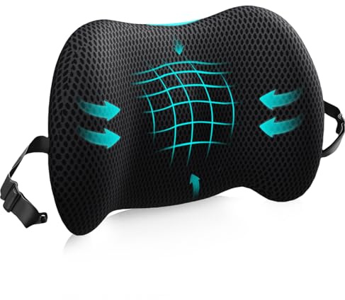 Lumbar Support Pillow for Office Chair, Memory Foam Car Back Cushion