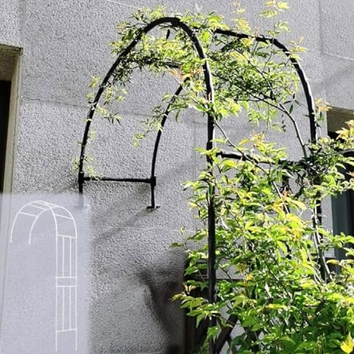 LIYI929GP Rankhilfe Halbbogen Halbseitiger Gartenbogen, Rosen Halbbogen Garten Torbogen Metall Stabil Rosenbögen, Pflanzenstütze, Hochzeitsbogen Feierliche Dekoration, AntiRost Gartenhalbbogen