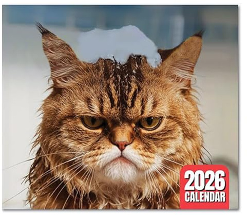 Calendario de Pared 2026 Gatos Enfadados - Almanaque con 12 Láminas Mensuales Divertidas | Calendario de Taco para Casa, Oficina o Despacho | Regalo para Amantes de los Gatos