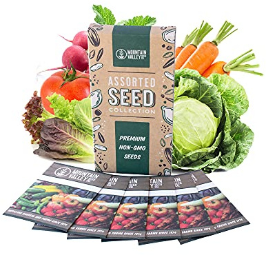 Salad Garden Seed Collection | Basic Assortment | 6 Non-GMO Vegetable Gardening Seed Packets: Lettuce, Carrot, Tomato, Cabbage, & More