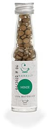 TEABALLS - MINZE für ca. 40 Tassen Tee
