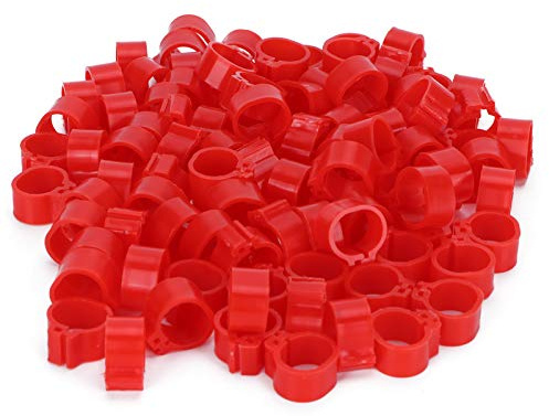 200 pz anello con clip per pollame rosso I piccioni identificano gli anelli strumento di addestramento per forniture per uccelli (Anello senza parole rosso da 10 mm)