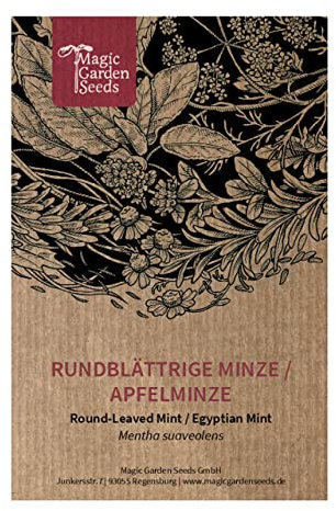 Menthe à feuilles rondes/Menthe pomme (Mentha suaveolens) env. 1000 semences