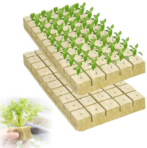 100 Piezas Cubos de Lana de Roca,2.5 x 2.5 x 2.5CM Cubos de Cultivo Hidropónicos,Bloque de Plántulas, Cubo de Lana de Roca Sin Suelo para Esquejes Agrícolas Siembra y Trasplante de Hortalizas