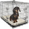 MaxxPet Hundebox Metall, Hundebox für Zuhause, Hundekäfig Mittel, Mit 2 Türen, Gitterbox Hunde, Faltbare Dog Crate Mit Hundekissen, Hundehütte Indoor, Outdoor 76x48x53cm, Schwarz