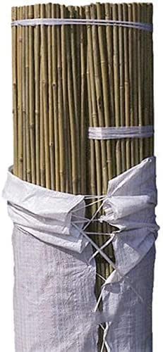 Suinga Lot de 25 Tuteur en Bambou 180 cm, diamètre 10-14 mm. Tiges de Bambou à Usage agricole, supportant Les Arbres, Les Plantes et Les légumes