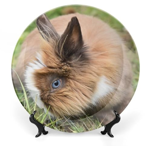 Rabbit Rabbit Eye of Rabbit Decorative Plate for Wall Ceramic Home Wobble-Plate with Display Stand Table Decor Ornament Dinner Plate Dessert Dish Holiday Christmas Decoration 10
