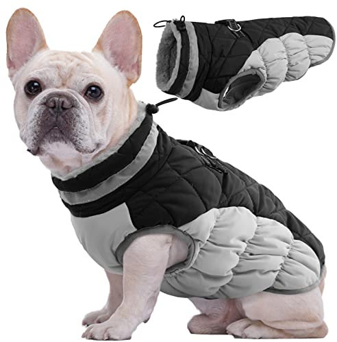 Kuoser Hundejacke Hundemantel für Kleine Hunde Winterweste, Wasserdicht Hunde Wintermantel Jacke Winter Hunde Mantel Mit Geschirr Warme Winterjacke Hundepullover Haustier Skifahren Kostüm Schwarz, XS