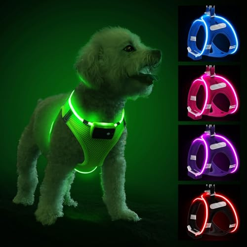 Light Up Dog Harness with Rechargeable LED - Waterproof Reflective Dog Harness Glow in the Dark - Flashing Harness for Puppy Small Medium Dogs Walking in Light, Green-S
