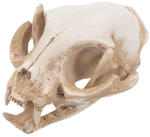 Poisson Tortue Caché Résine Artificielle Tête Squelette Décor Chat Crâne Aquarium Décoration Paysage De Grotte Squelette d'animal d'halloween Animal Dhalloween Maison Animaux