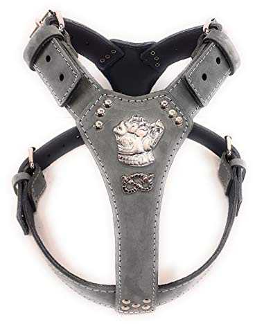 Beau harnais en cuir gris pour chien avec motif tête de bullterrier Staffordshire et nœud