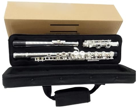 tvärflöjt instrument Flöjt Professionellt flöjtinstrument 16 hål Nybörjarmusikinstrument
