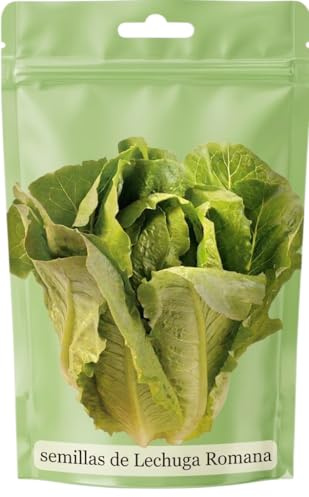 DECOALIVE Semillas de Lechuga Romana para Huerto en Maceta y Consumo Diario