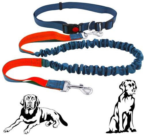 Senvenelec Hundeleine, orange+grau, 155 cm, Nylon, reflektierend, verstellbarer Gürtelgriff, für Hunde