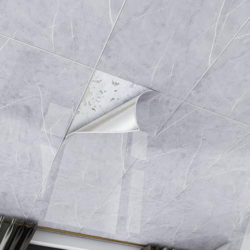 Deckenpaneele Deckenplatten Deckenfliesen 600 X 300 800 X 400, Selbstklebende Deckenplatten Dekorativ für abgehängte Decken/zu renovierende Bereiche, Home Office Stores Deckenverkleidung(A - 5 pack,40