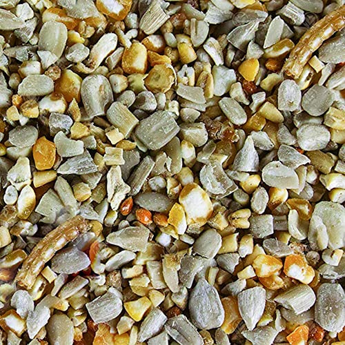 GardenersDream Robin & Songbird Mix | Nutritious Wild Bird Food for Garden Birds | Free of Husks & Germinating Seeds | Premium Quality Source of Protein and Energy | Year-Round Feed Mixture (10kg)
