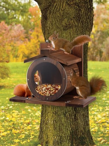 Casetta per mangimi, scoiattolo, resistente alle intemperie, con finestra rotonda, trasparente, per esterni, con fori di ventilazione per recinzione albero (finestra rotonda)