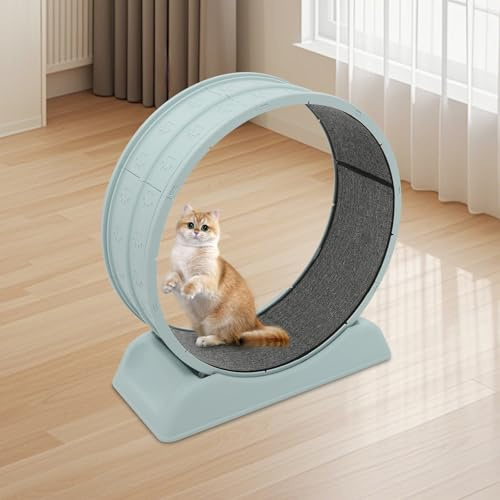 Kattspringcykel av trä, inomhuslöpband för katter upp till 10 kg, supertyst katthjul med avtagbar matta för viktminskning och hälsofrämjande (80 cm, blå)