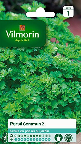 Vilmorin 3211500006790 3790141 Persil Commun 2 Officinal, Vert, 9 x 0.5 x 16 cm
