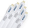 eLITe LED Röhre T5, 54,9cm, 12W, sehr hell, 1560lm, 860, 6000 Kelvin, Tageslichtweiß, NUR FÜR EVG, 140 Grad, homogenes Licht, langlebig 50.000h, 3 Jahre Garantie, 5 Stück