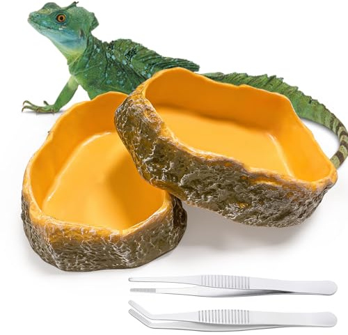Feruchun 2 Piezas Comedero Reptiles,Cuenco de Agua para Reptiles,Cuencos para Terrario de Reptile para Gecko Lagarto Barbudos (10 * 7.5 * 2.3cm)