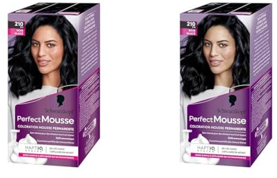 Schwarzkopf - Perfect Mousse - Coloration Cheveux - Mousse Permanente sans Ammoniaque - Masque Soin 96% d'ingrédients d'origine naturelle - Noir Glacé 210 (Lot de 2)
