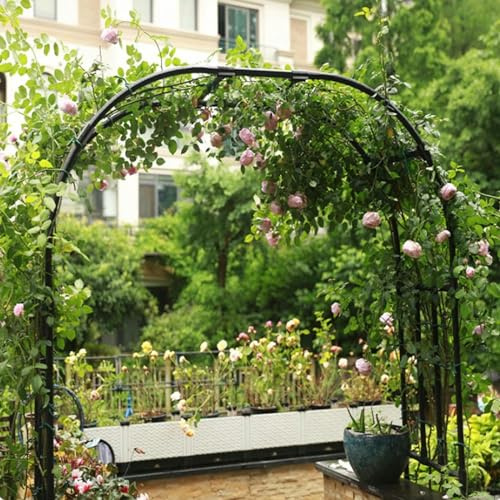 Arche d'arc de jardin en métal robuste pour rose romantique pour les plantes grimpantes, roses, pour fermes, (couleur : blanc, taille : 240 x 240 cm
