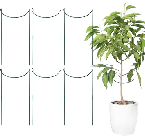 Moreeulsi Support pour grimpantes, Support de Fleurs de Jardin | Accessoires de Jardin Demi-Ronds en métal antirouille pour Hortensia Cour Pot de Fleurs