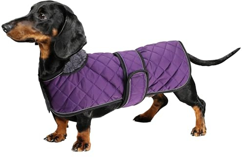 Geyecete - Cappotto Invernale termico trapuntato per cane bassotto,con fodera in pile caldo, abbigliamento per cani da esterno con foro per Imbracatura,Giacca per cani piccola y media-viola-S