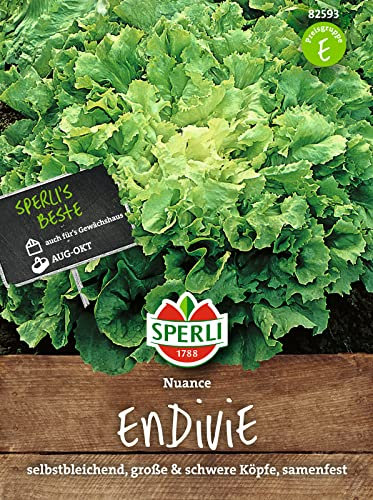82593 Sperli Premium Endiviensalat Samen | Endivien Samen | Große Schwere Köpfe | Endivien Salat | Schnellwachsende Endivie