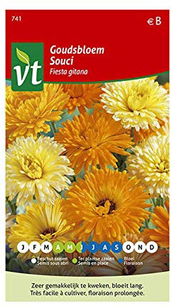 Souci Calendula Fiesta Gitana Graines - Culture facile en tous sols