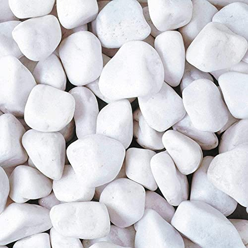 Suregreen White Pebbles | 20mm - 40mm | 20kg | Decorative Aggregates for Outside and Indoor Garden, Driveway Rocks, Gravel for Garden, Stones for Plant Pots