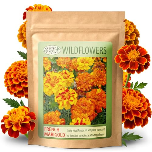 Created by Nature French Marigold Seeds, 2,300 Annual Wildflower Seeds