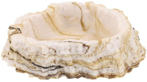 ifundom Plato de Agua para Reptiles de Resina Diseño Estable y Duradero Que Previene Deslizamientos, Adecuado para Pequeños Animales y Reptiles en Terrarios