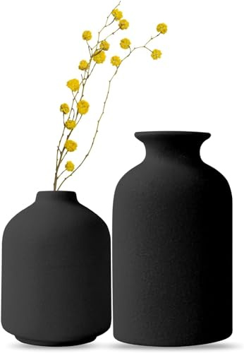 Keramiska vaser, set om 2 små svarta keramikvaser, dekoration, blomvaser moderna | Rustik bondgård heminredning keramikvas, dekorativ för pampasgräs och torkade blommor
