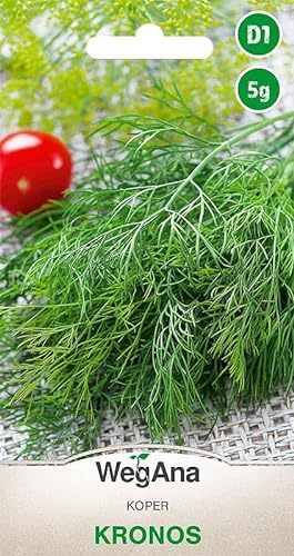 WegAna Garten Dill Kronos 5g Saatgut, Dillsamen Kräutersamen Robuste Gemüsesamen, Gemüse Samen, Samen Anzucht